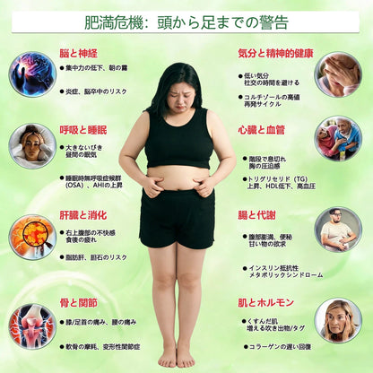 🎁 残り 5 箱限定！追加 30％OFF！健康的な体へ。今逃すと来年まで再開なし